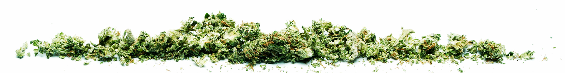 Fresh cannabis flower